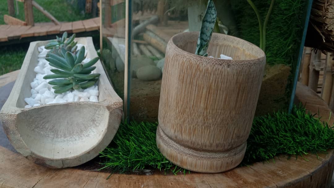 Bamboo decoration