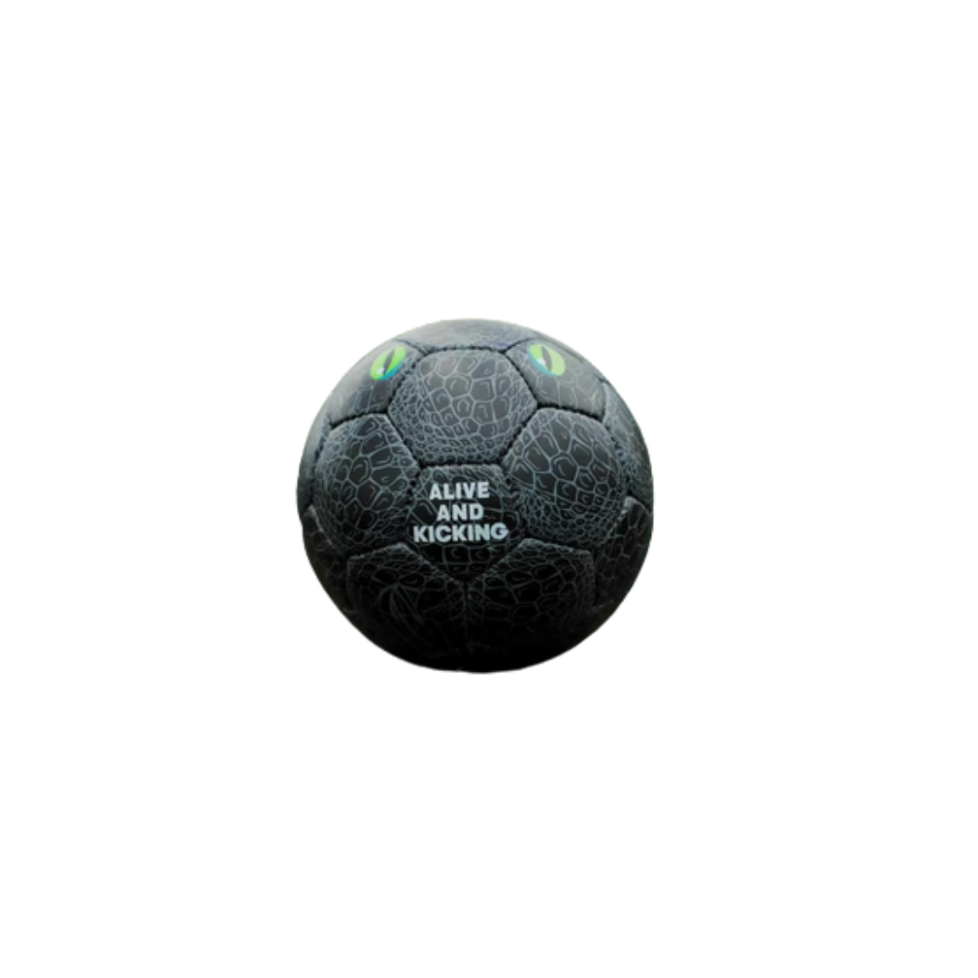 Fussball Krokodil