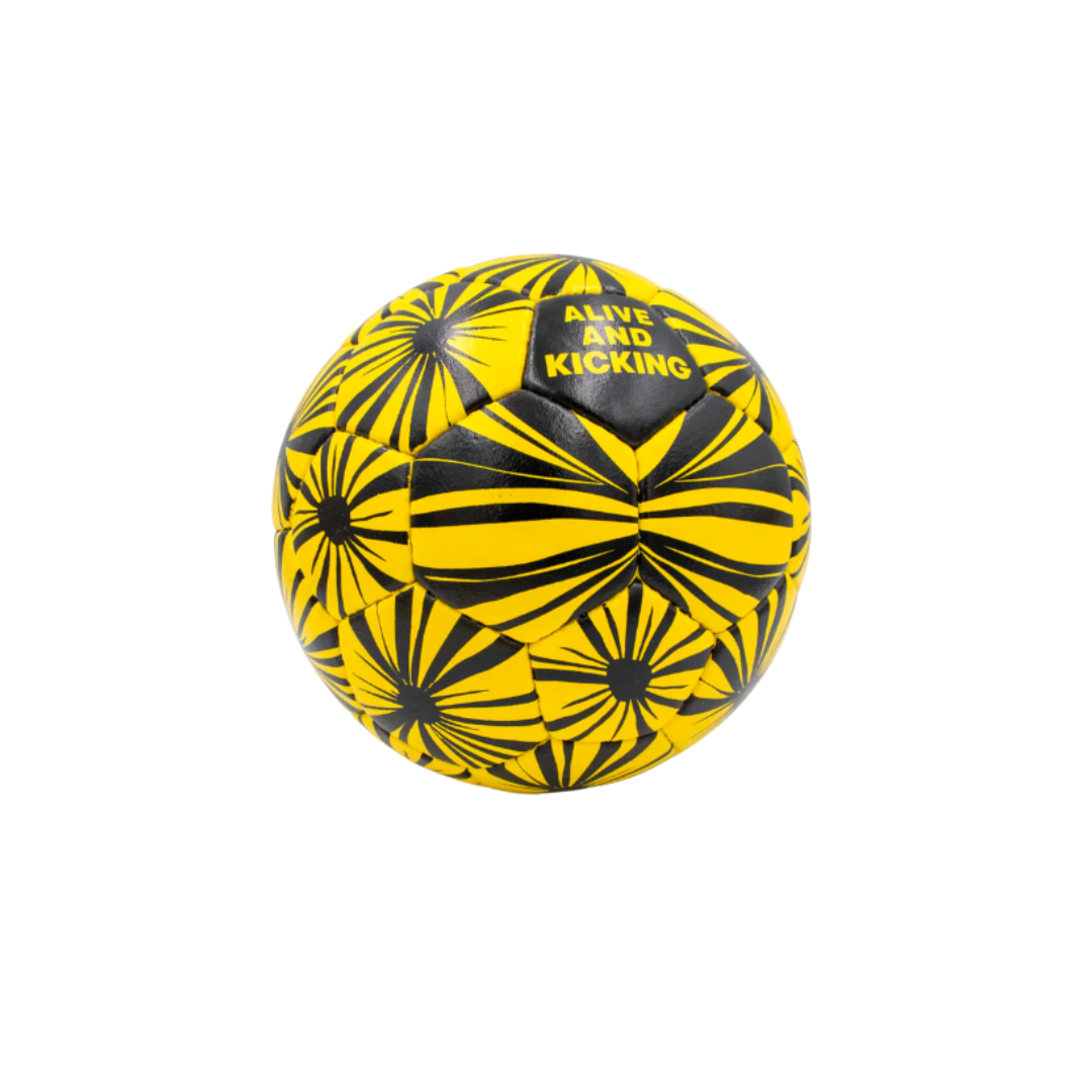 Ball mit Schildkrötenmotiv Hinteransicht