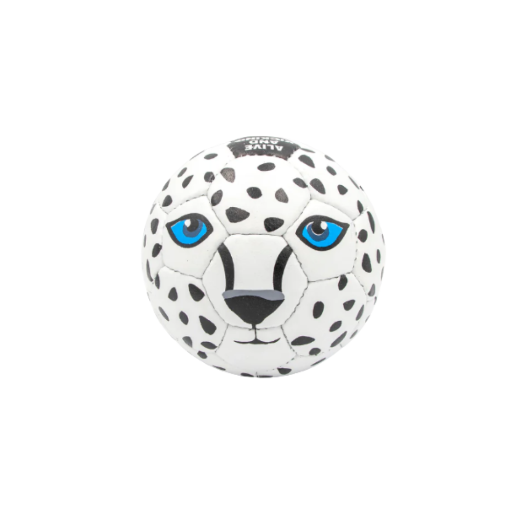 Ball mit Schneeleopardmotiv Vorderansicht