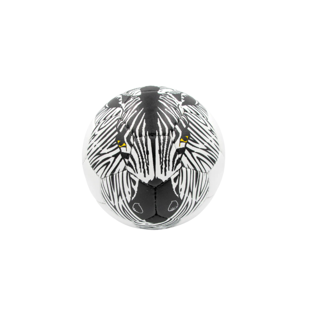 Ball mit Zebramotiv Vorderansicht