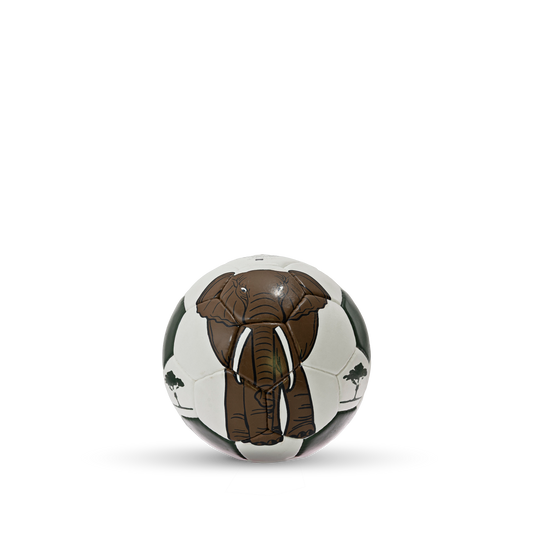 Ball mit Elefantenmotiv Vorderansicht