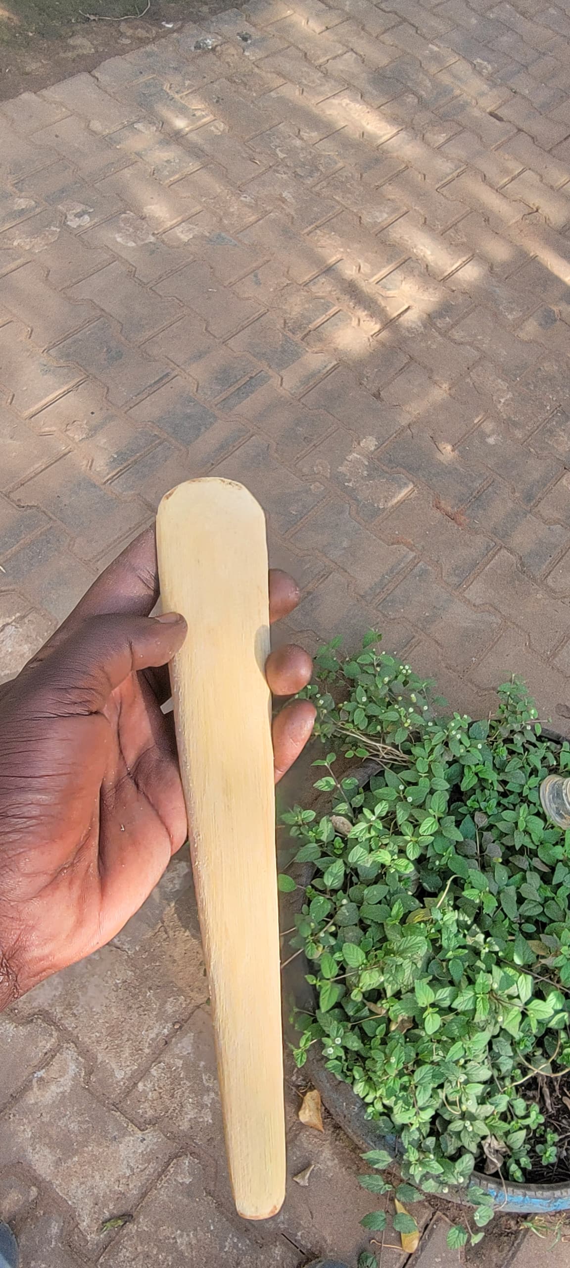 Produkte aus dem BAM-Bus Training