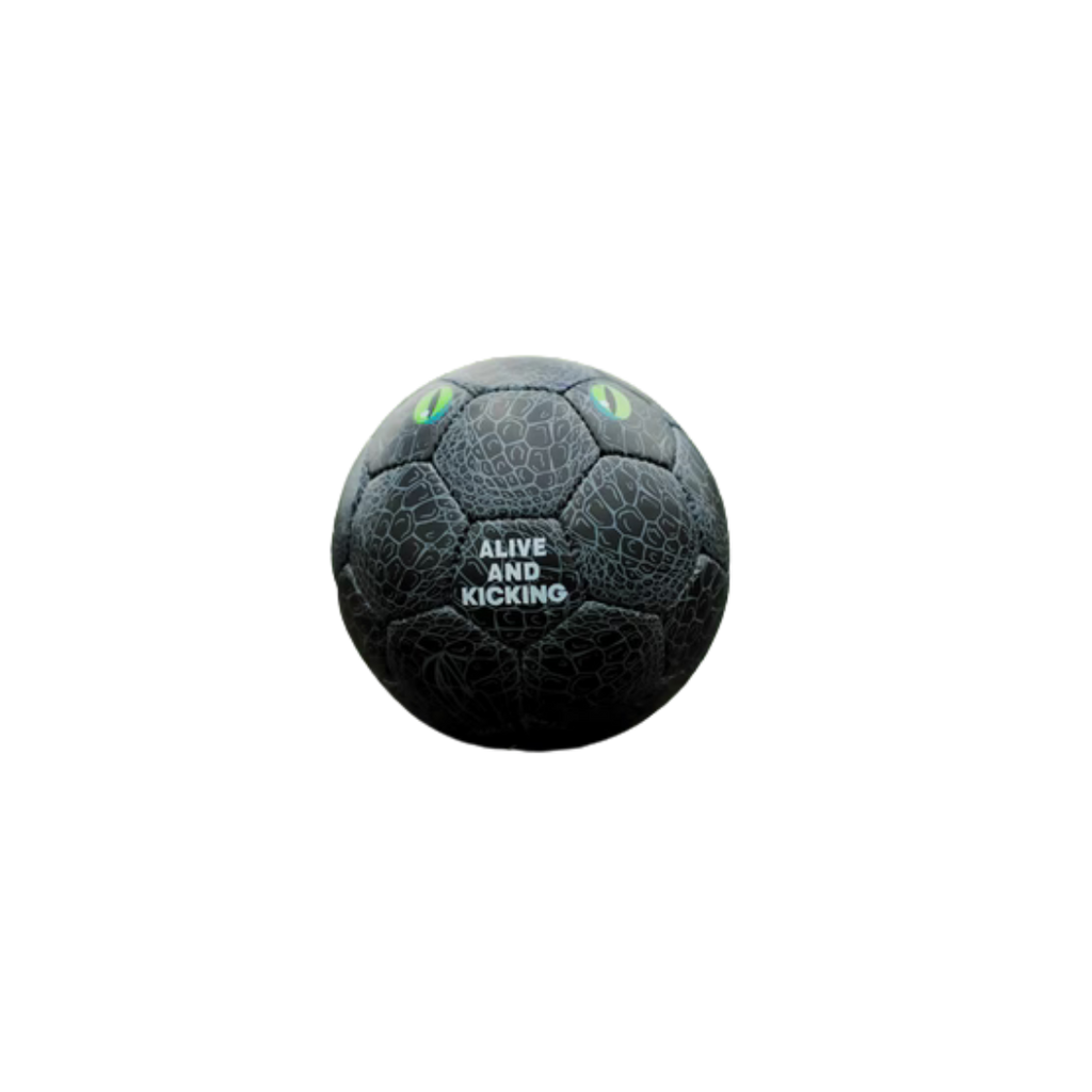 Fussball Krokodil