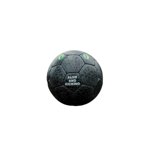 Vorbestellung - Fußball Krokodil