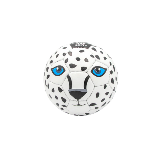 Ball mit Schneeleopardmotiv Vorderansicht