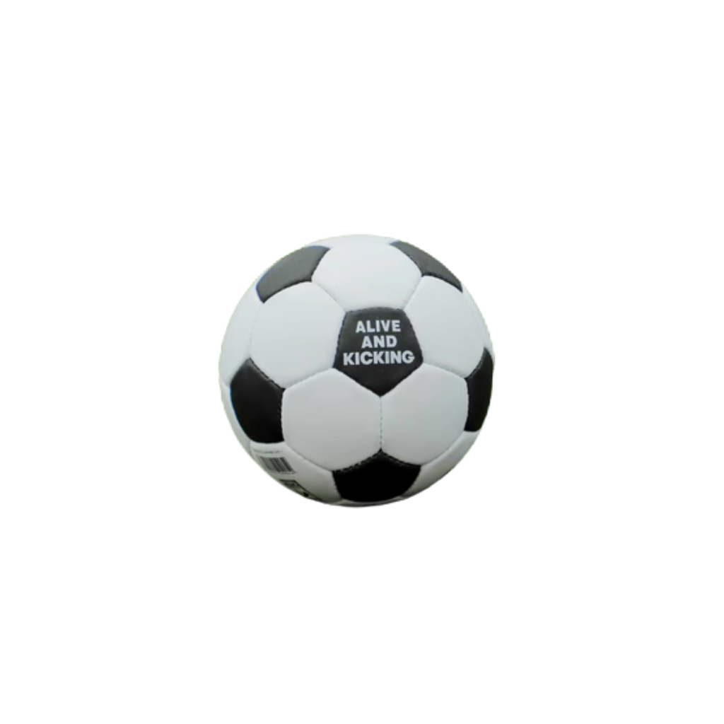 Schwarz-weißer Soundball mit dem Text „Alive and Kicking“ auf weißem Hintergrund